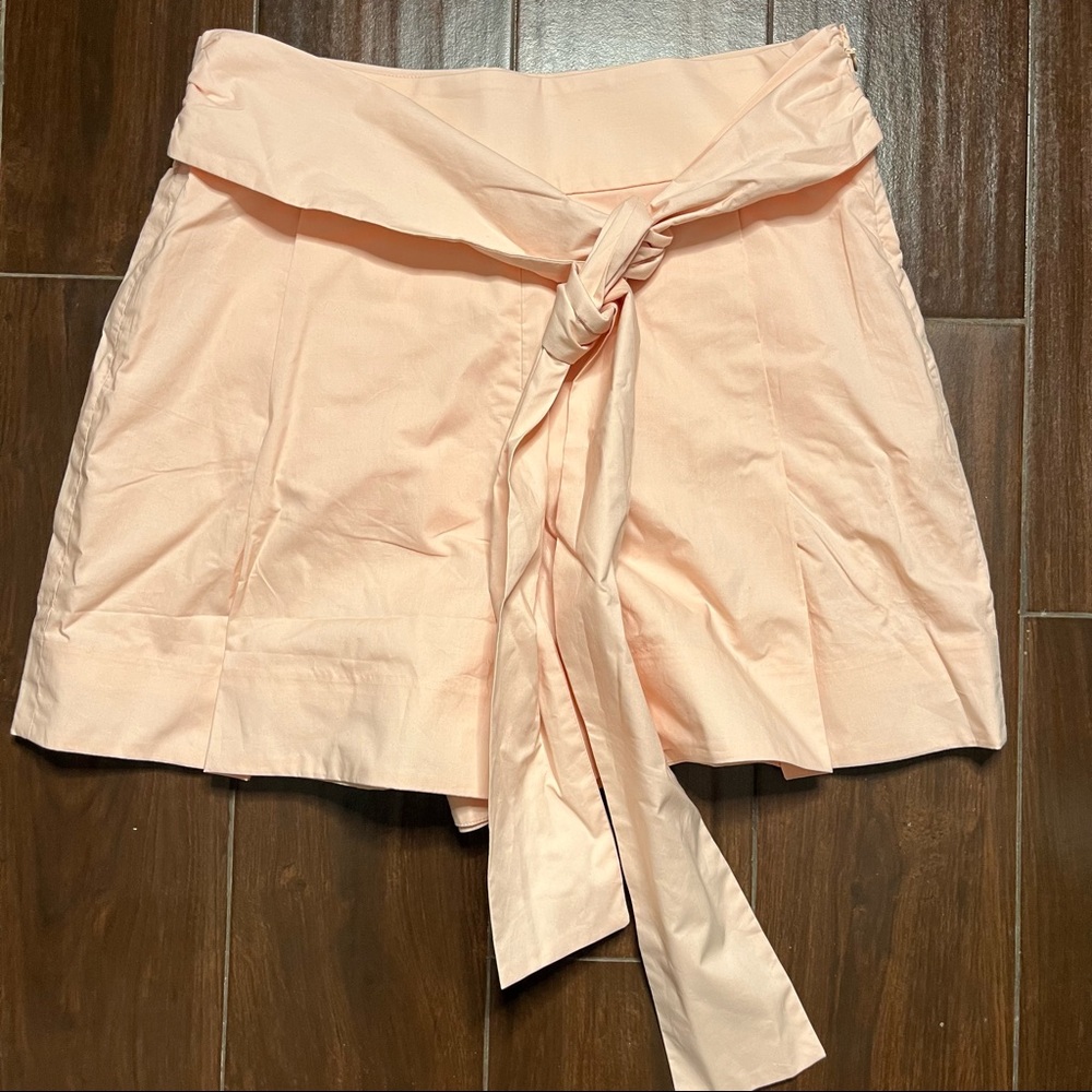 NWT J. Crew skirt 8